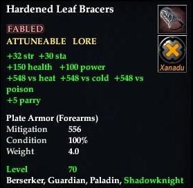 Hardened Leaf Bracers